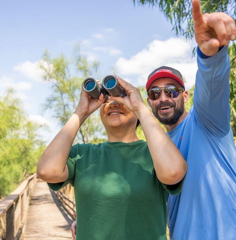 Birding in the Rio Grande Valley near Brownsville