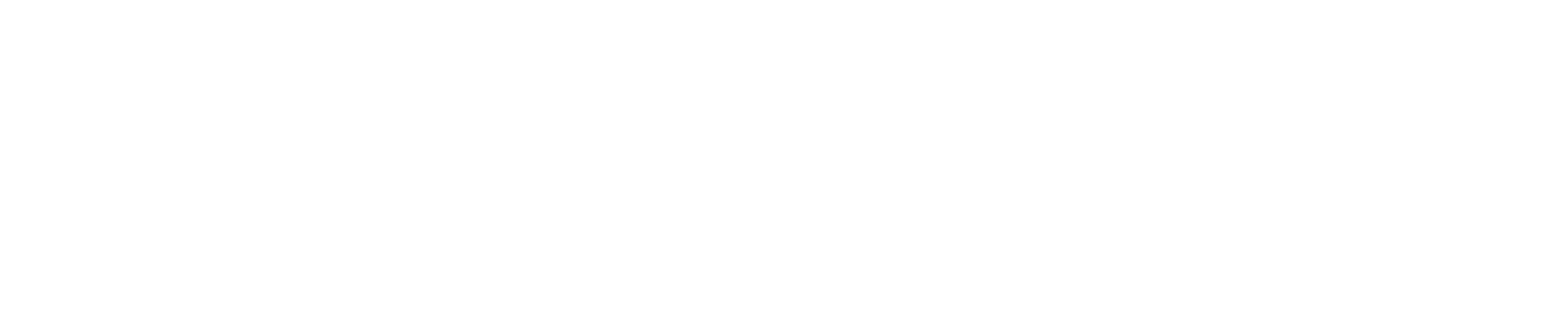 Startup Texas logo in white